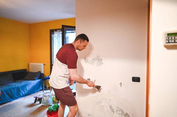 Best Commercial Mold Removal  in North Logan, UT